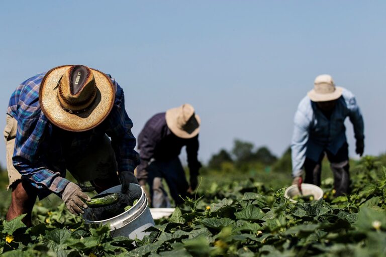 Move to Canada Under the Temporary Foreign Worker Program