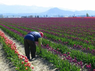 unskilled jobs in Canada